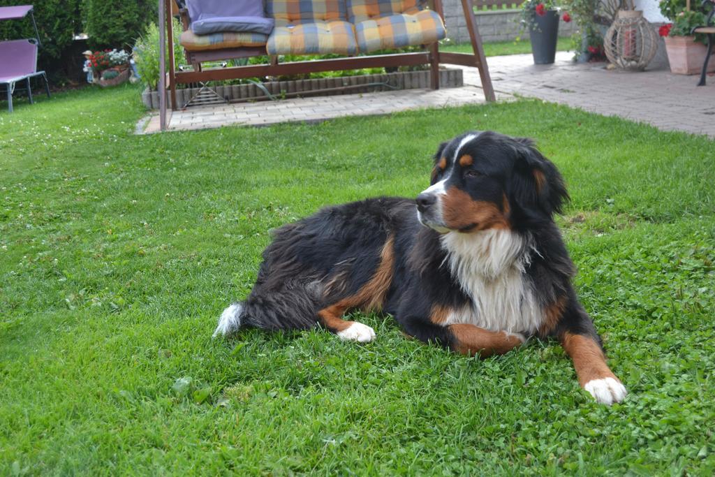 Вилла Biobauernhof Tonimoertl Мариапфар Экстерьер фото